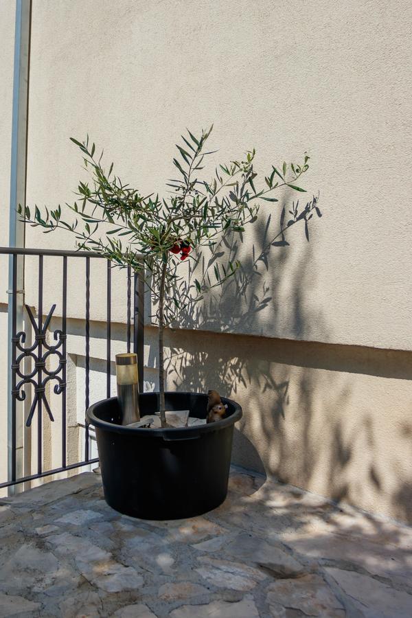 Apartmani Petar Tivat Exterior foto